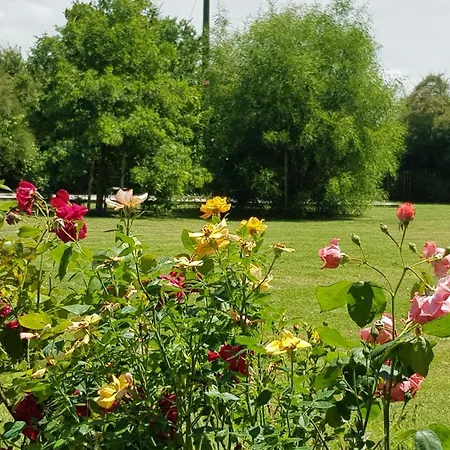 Broceliande - Les Tilleuls Apartment Soulac-sur-Mer